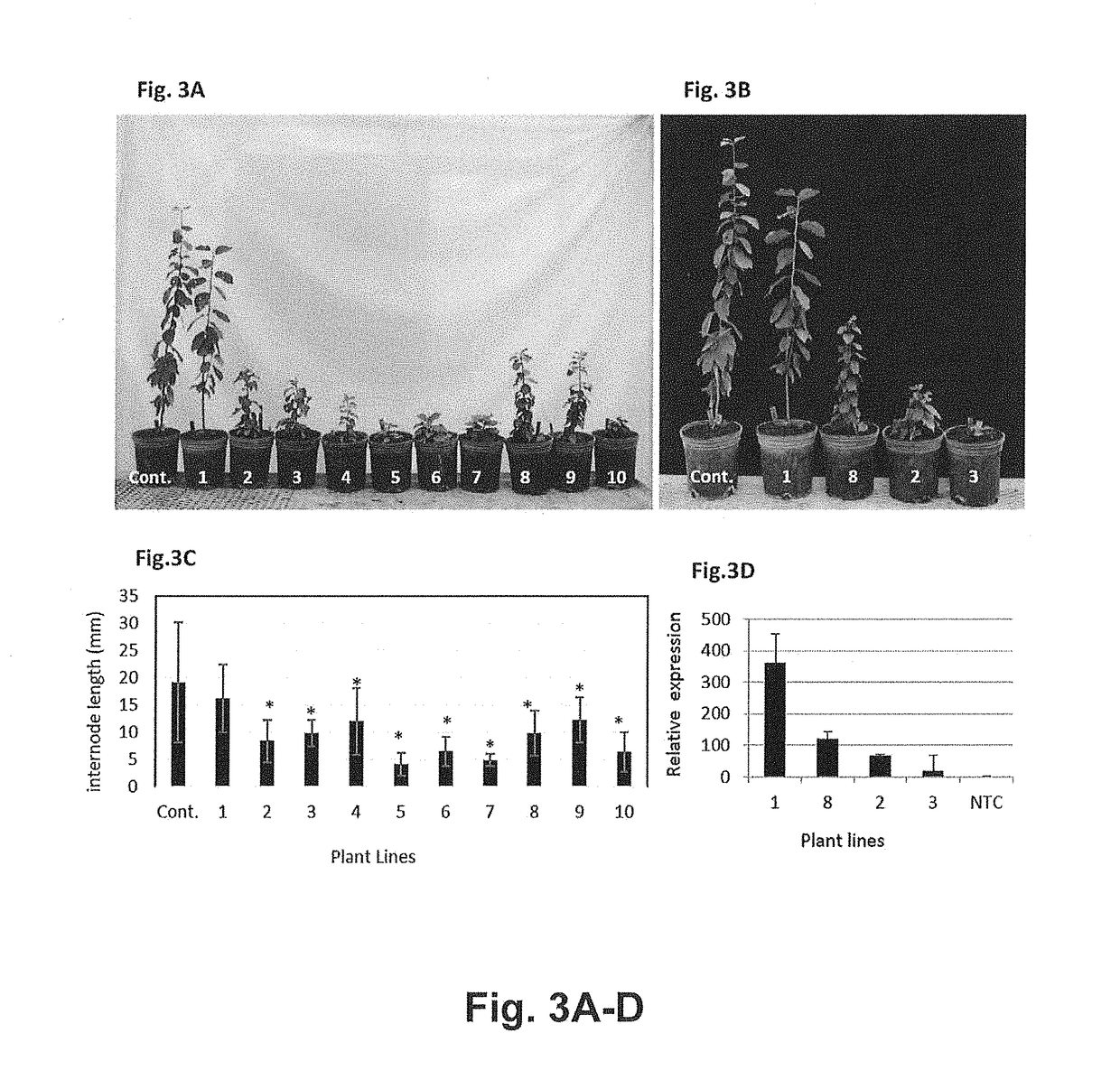 Effect of PpeGID1c on vegetative growth of fruit trees