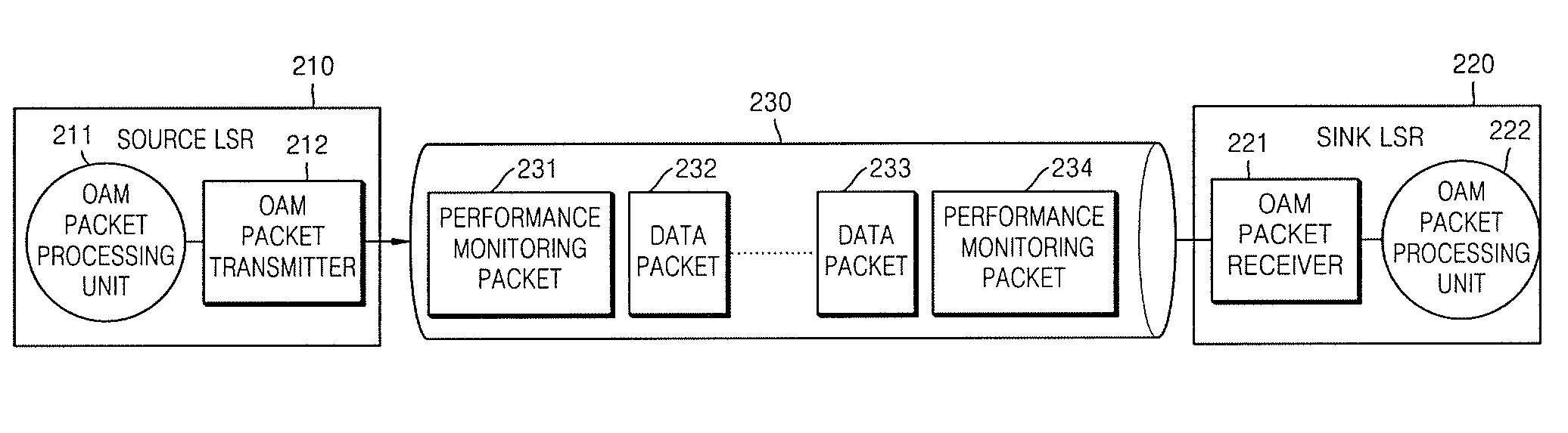 Method and apparatus for measuring label switch path performance parameters using performance monitoring operation and management packet in multi-protocol label switching network