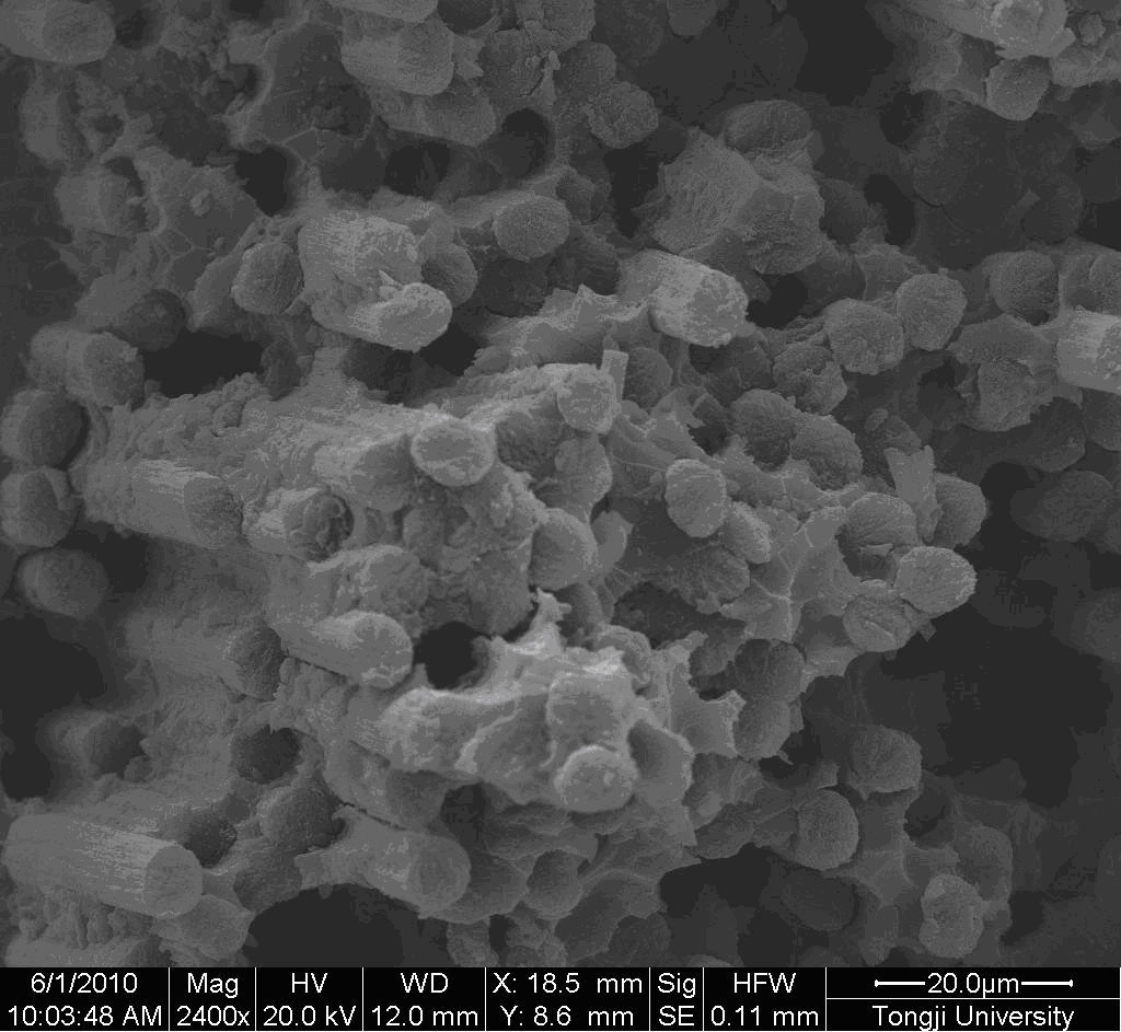 Method for preparing carbon nanofiber and carbon nanotube modified carbon fiber/epoxy resin multi-dimensional hybrid composite
