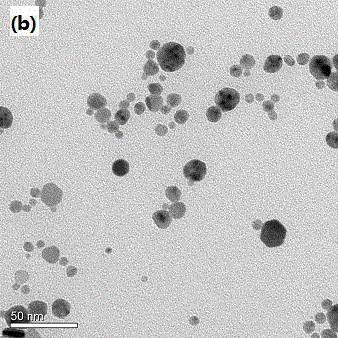 Method for preparing nano silver/polystyrene composite material by microemulsion polymerization