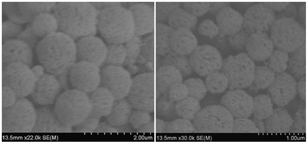 A magnetic molecular imprinting bionic ELISA detection method for aquatic product malachite green