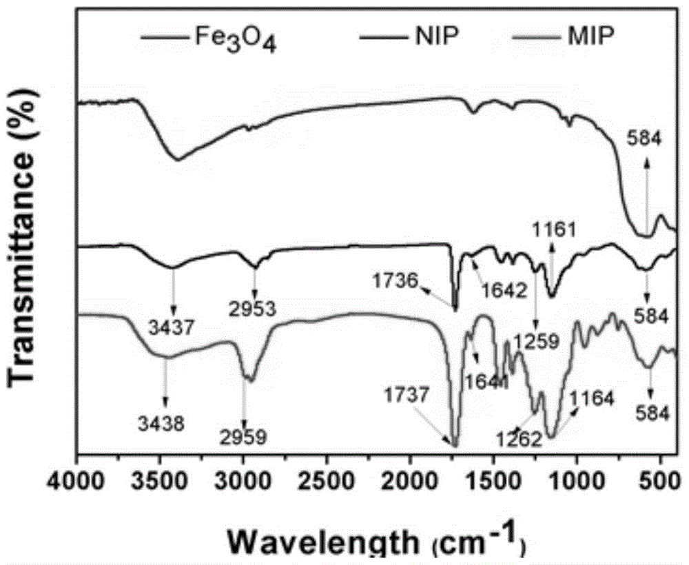 A magnetic molecular imprinting bionic ELISA detection method for aquatic product malachite green