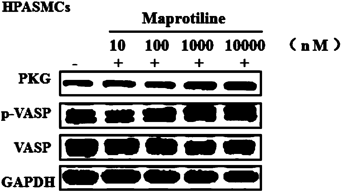 Application of maprotiline as soluble guanylate cyclase agonist