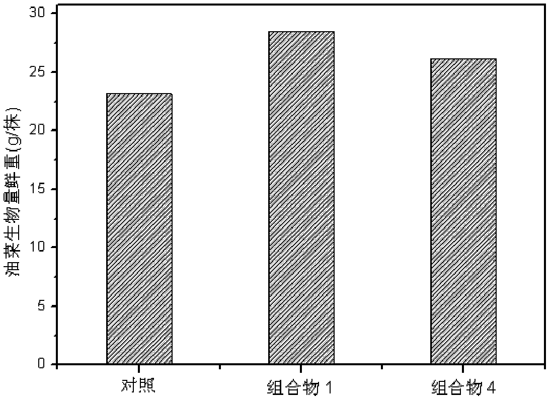 Composition used for treating soil arsenic pollution, and application method thereof