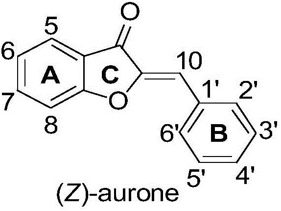 Synthesis method of aurone compound