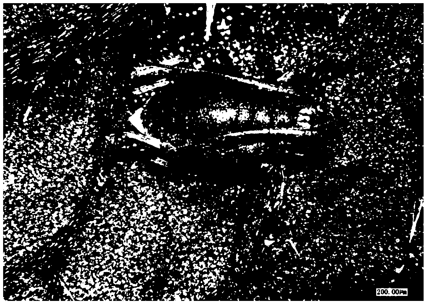 Method for detecting drug resistance of green peach aphid