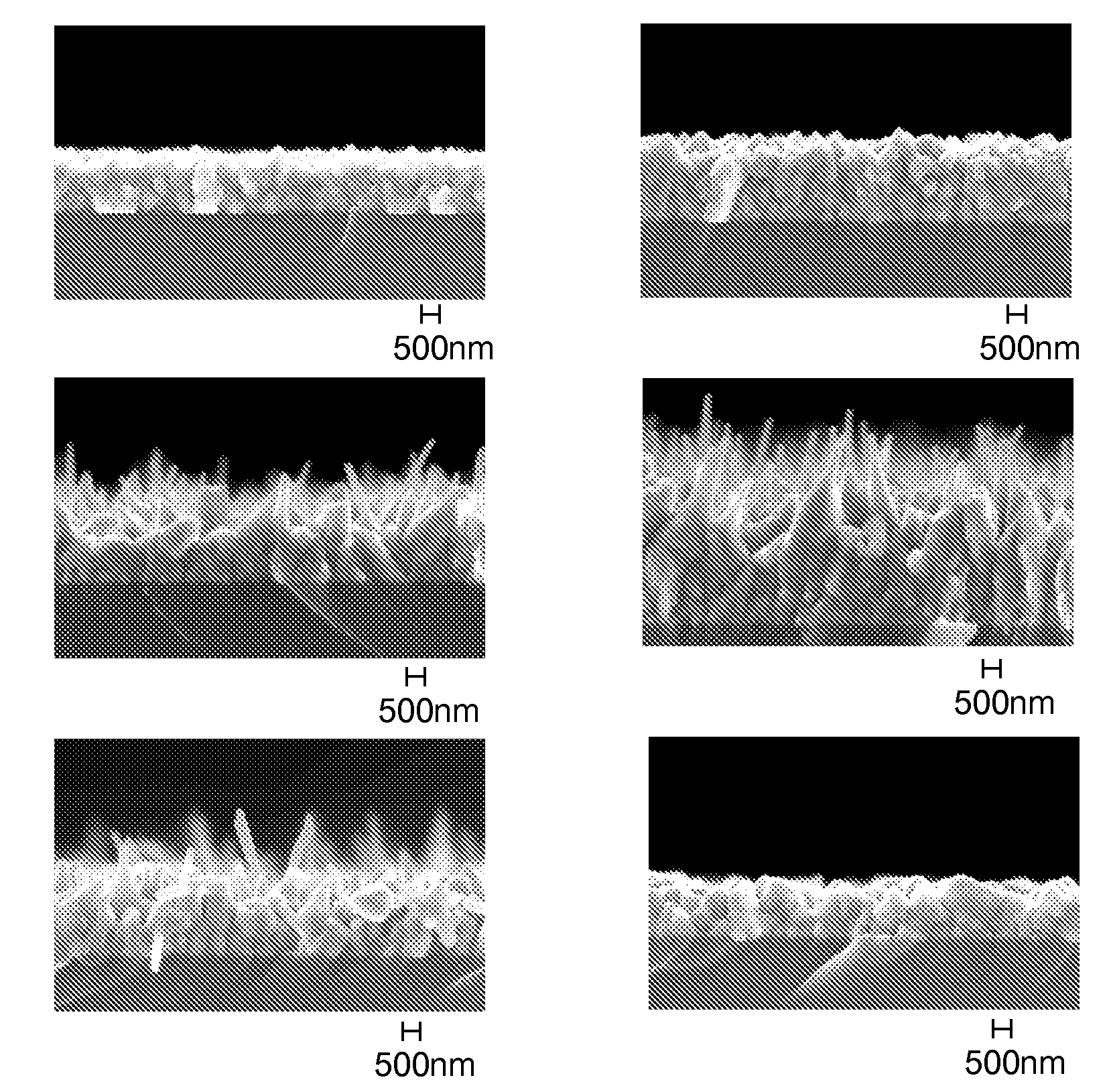 Nano-whisker growth and films