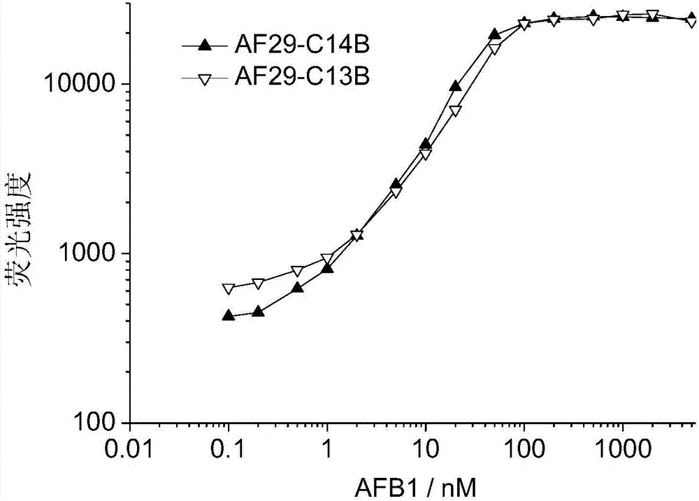 Aptamer molecular pair for detecting aflatoxin B1, kit and detection method thereof