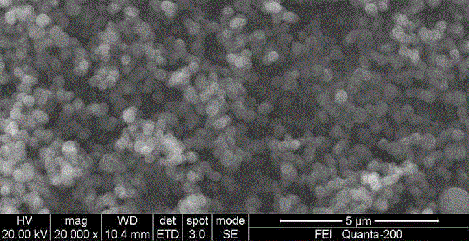 Low temperature hydrothermal preparation method of biomass carbon microsphere / nanosphere