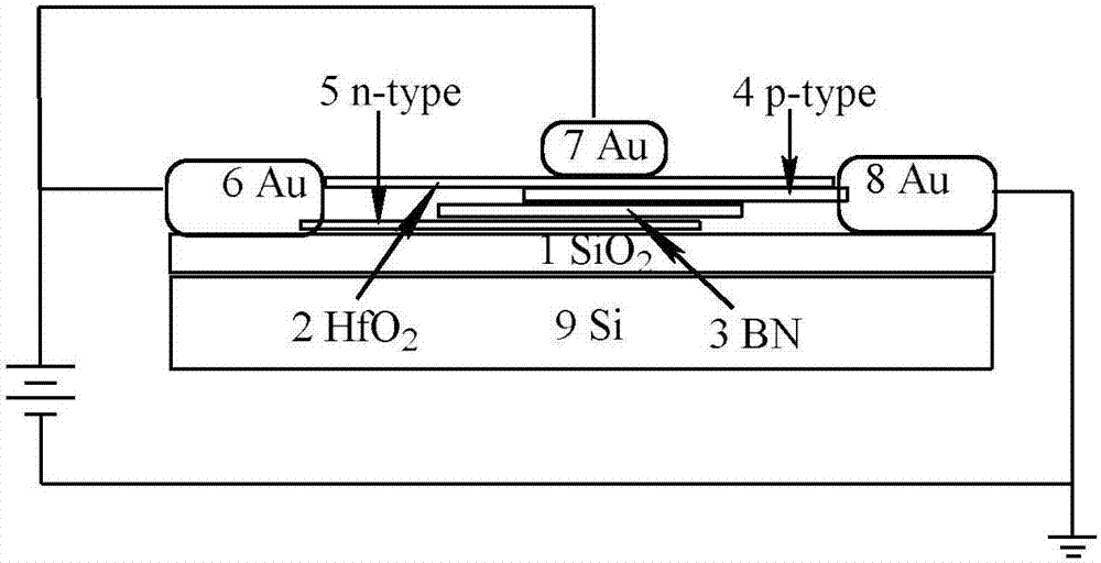 P‑i‑n heterojunction optoelectronic devices based on two-dimensional layer materials