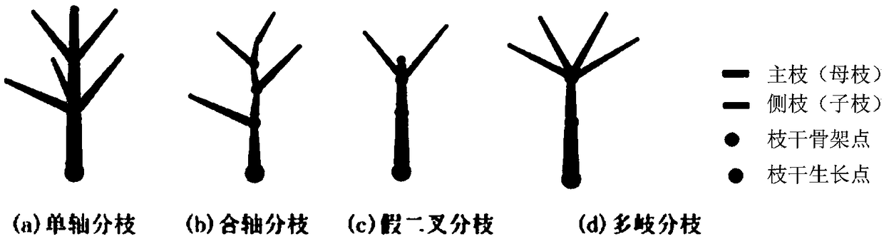 A Method of Constructing Parametric 3D Tree Symbolic Model