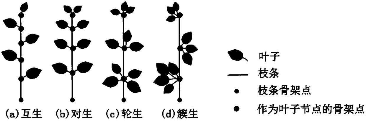 A Method of Constructing Parametric 3D Tree Symbolic Model