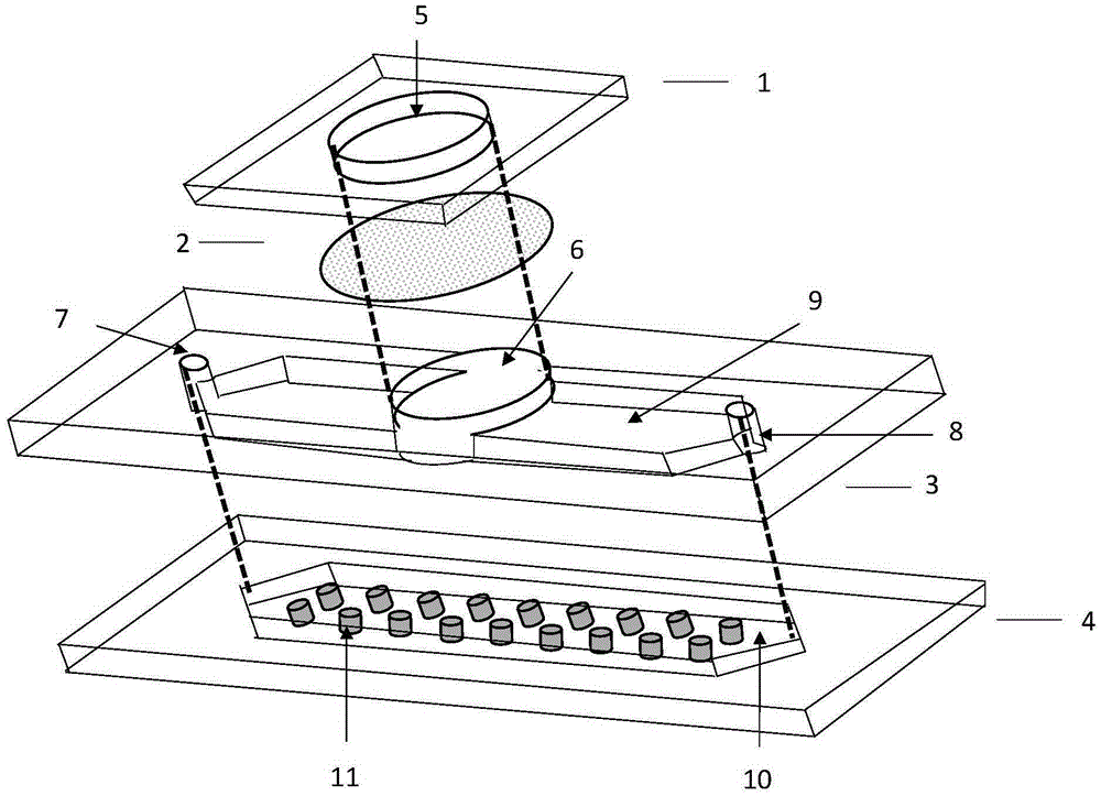 Transwell micro-fluidic chip combined with three-dimensional culture and preparation method of micro-fluidic chip