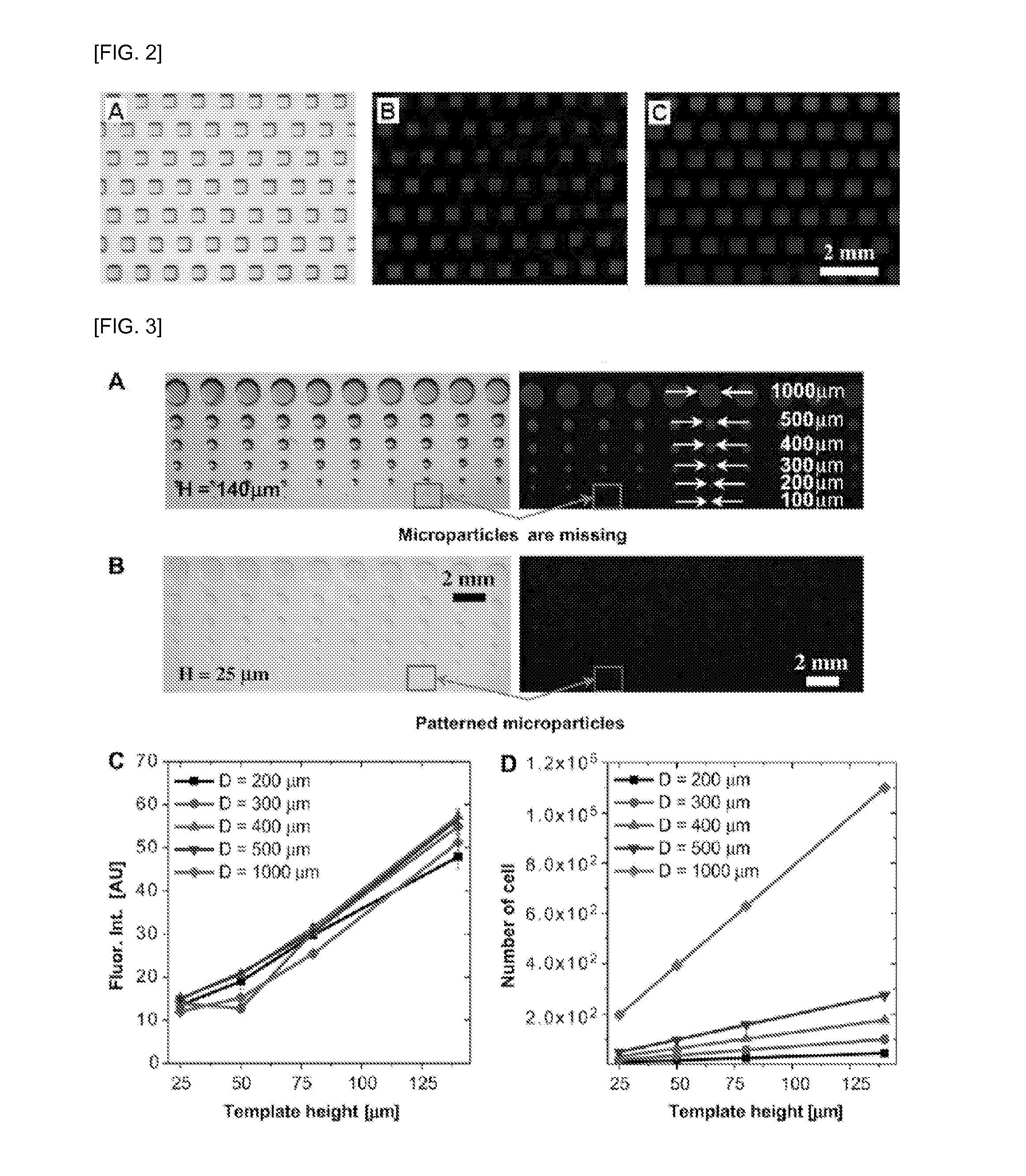 Hydrogel patterning and transferring method of cells, and cell-based biosensor using same