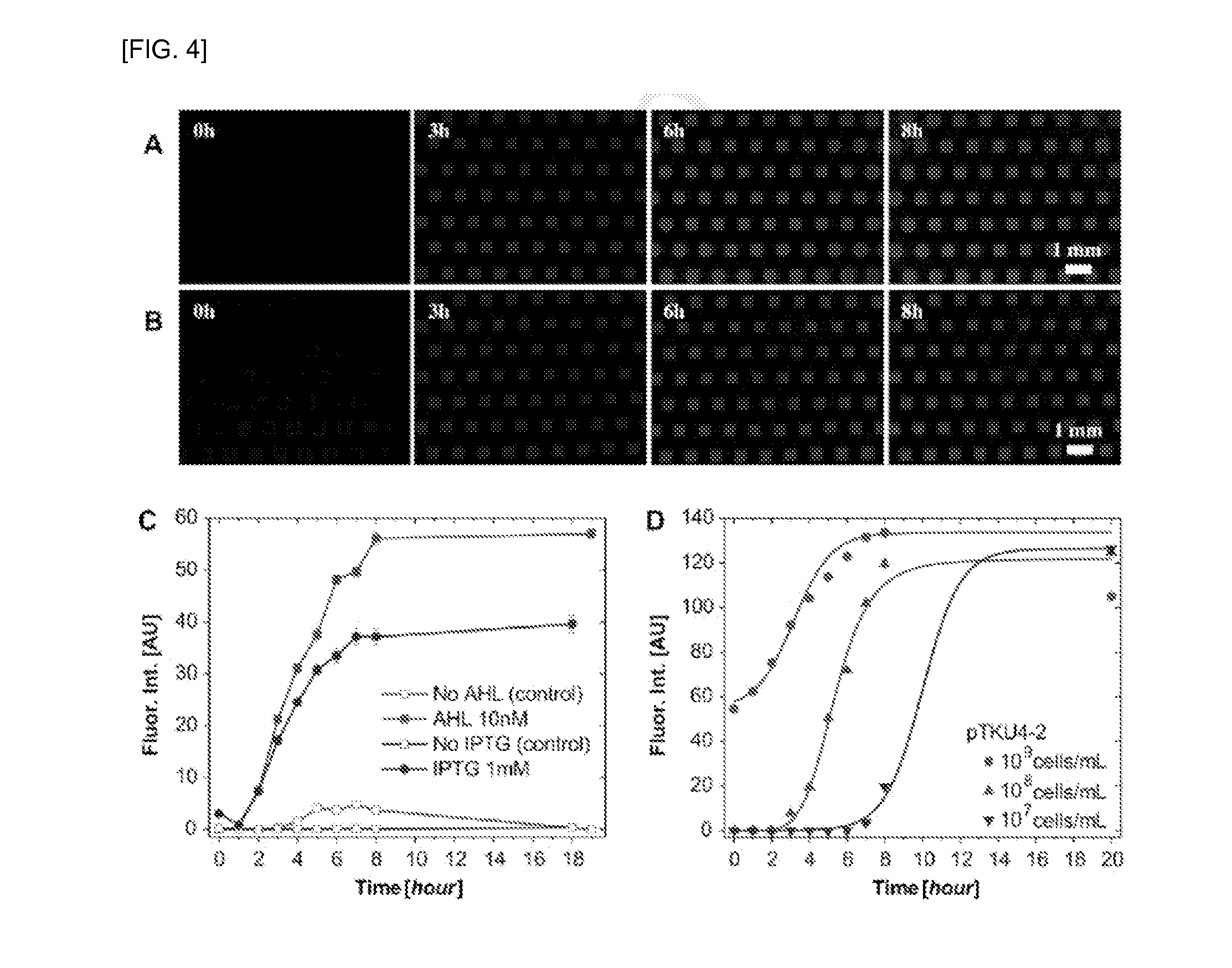 Hydrogel patterning and transferring method of cells, and cell-based biosensor using same