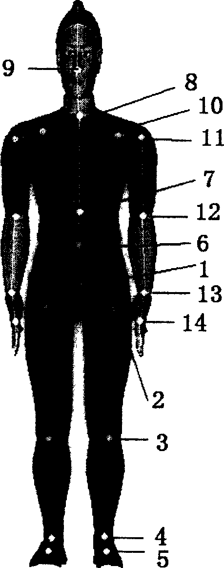 Skeleton motion extraction method by means of optical-based motion capture data