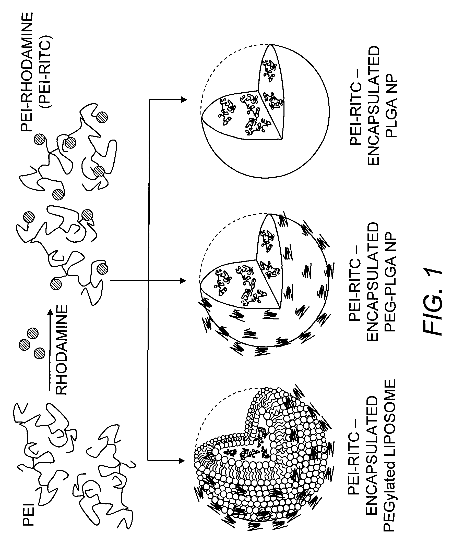 Nano-hybrid delivery system for sequential utilization of passive and active targeting