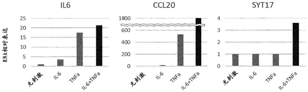 Method for evaluating likelihood of onset or progression of transplanted kidney chronic rejection and chronic kidney disease, test kit, and pharmaceutical composition