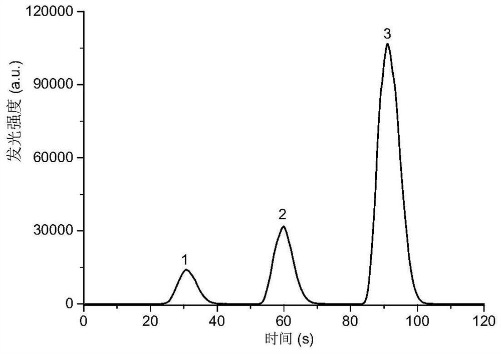Catalytic luminescence reactor, and detection device and detection method of butanone peroxide
