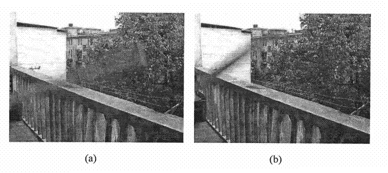 Method for compensating and enhancing dynamic shielded image in real time