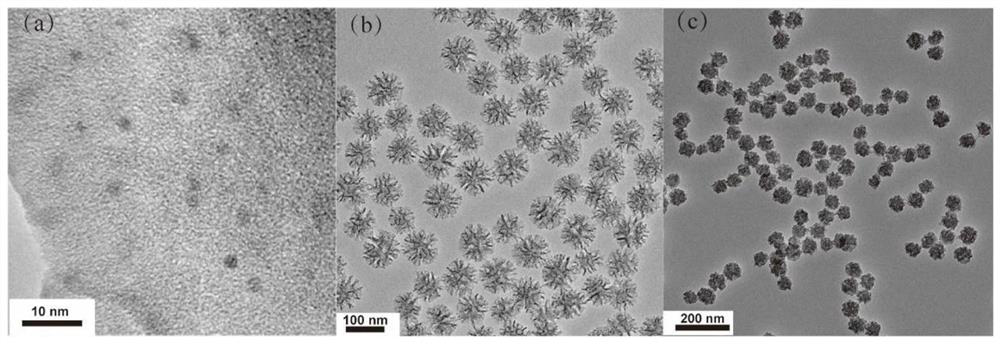 Nanoparticle-carbon dots@silica composite nanoparticle with long afterglow luminescence, long afterglow material and preparation method