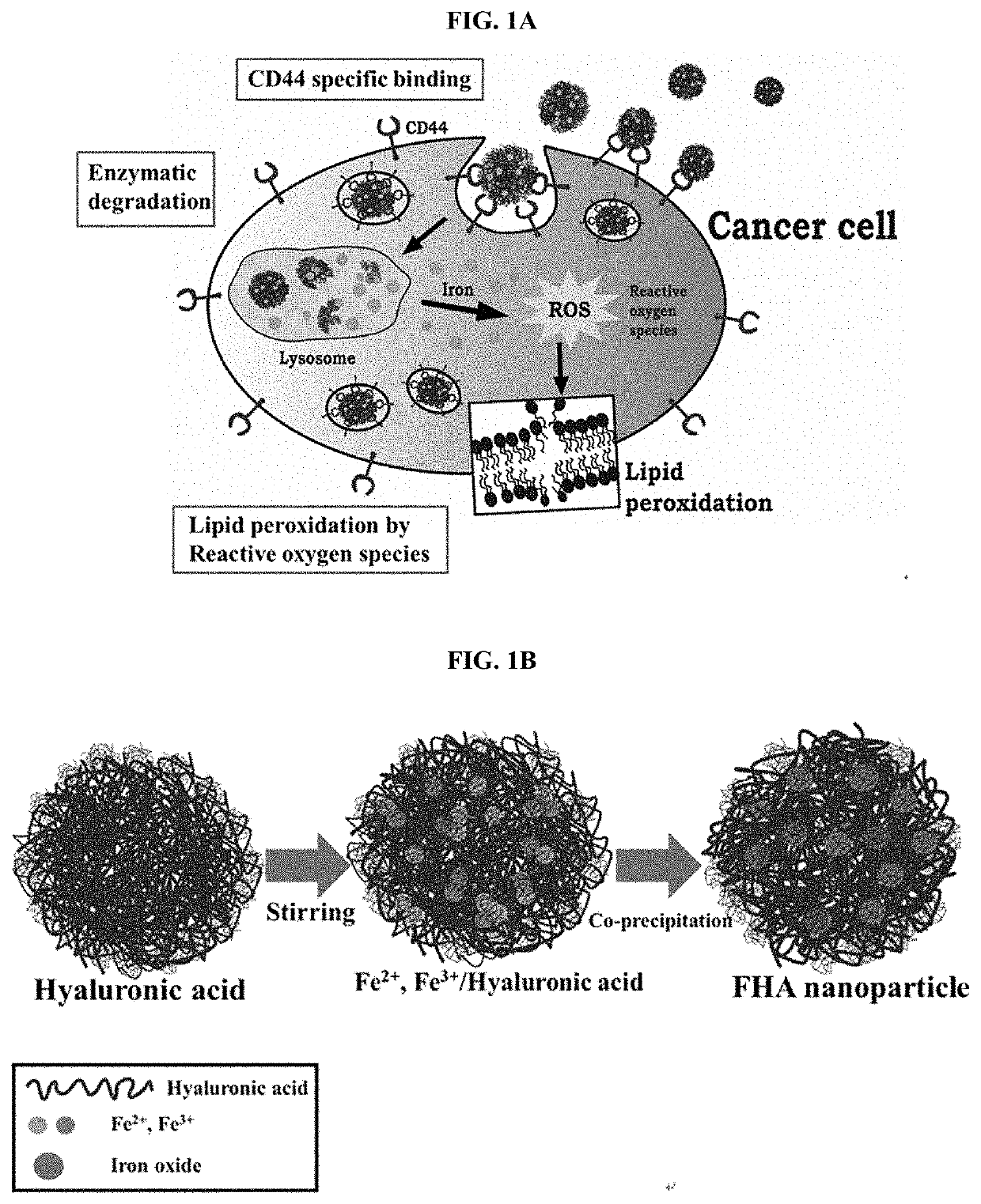 Nanoparticles for selective death of cancer cells through ferroptosis, method of preparing the same, and use of the nanoparticles