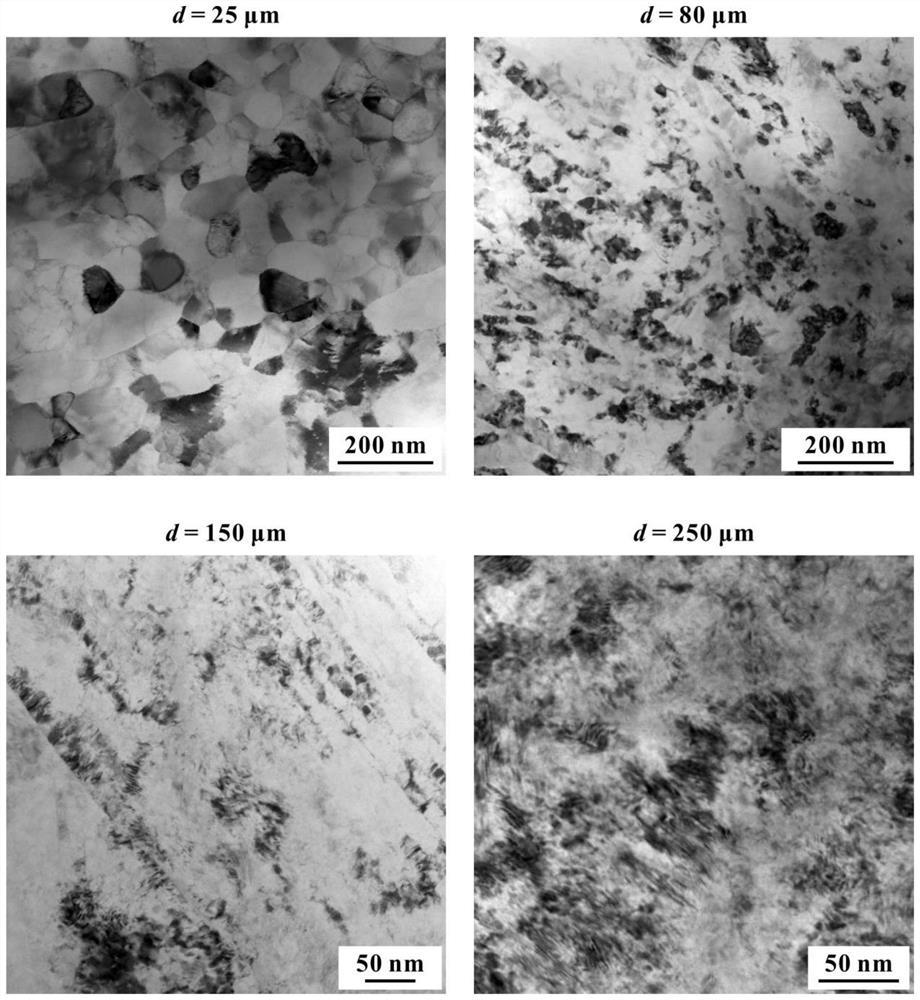 Method for preparing nickel-titanium shape memory alloy with gradient nano-grain structure