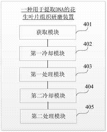 Peanut leaf tissue grinding method and peanut leaf tissue grinding device for extracting DNA