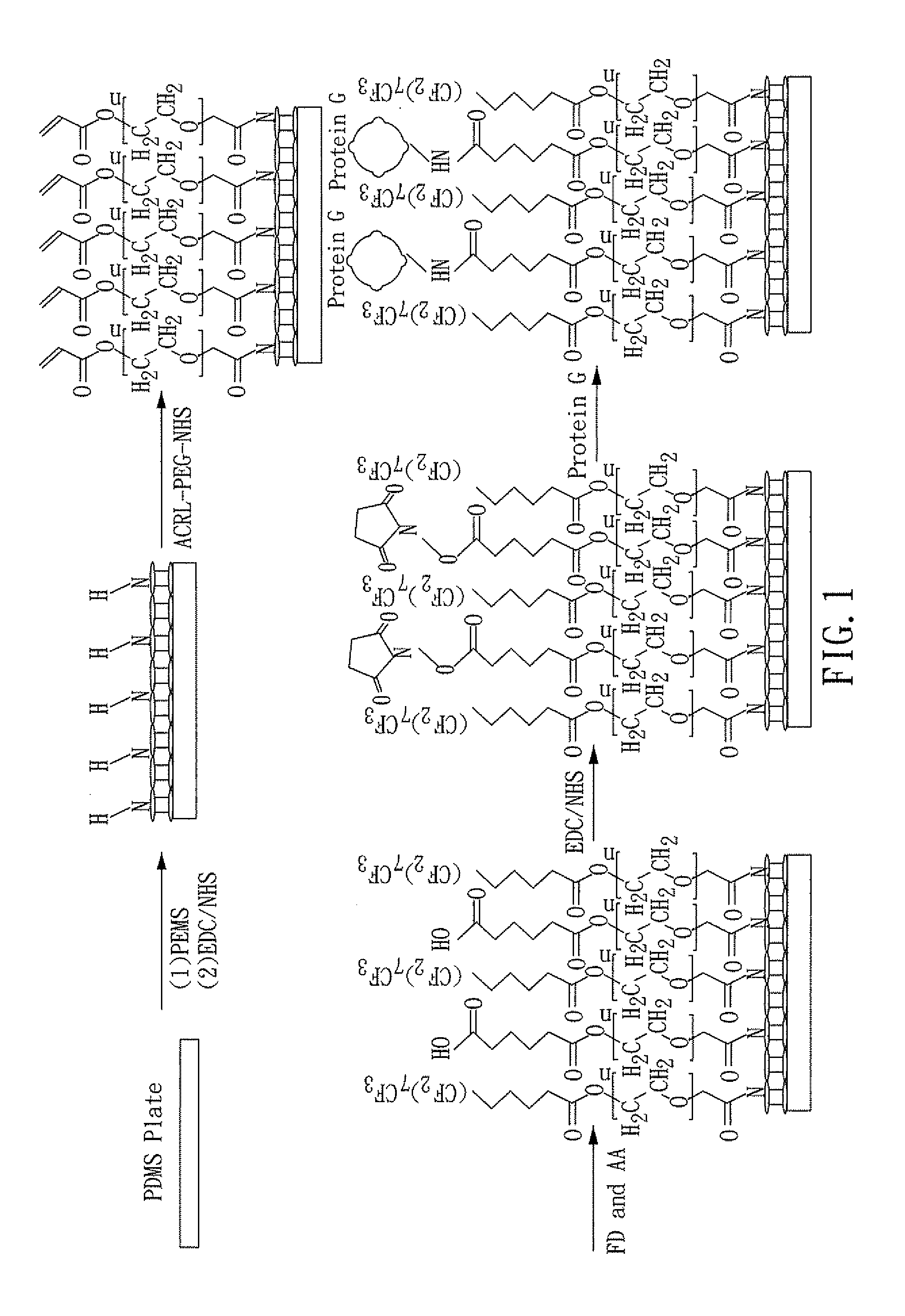 Chip for protein detection, method for manufacturing the same, and method for detecting protein by using the same