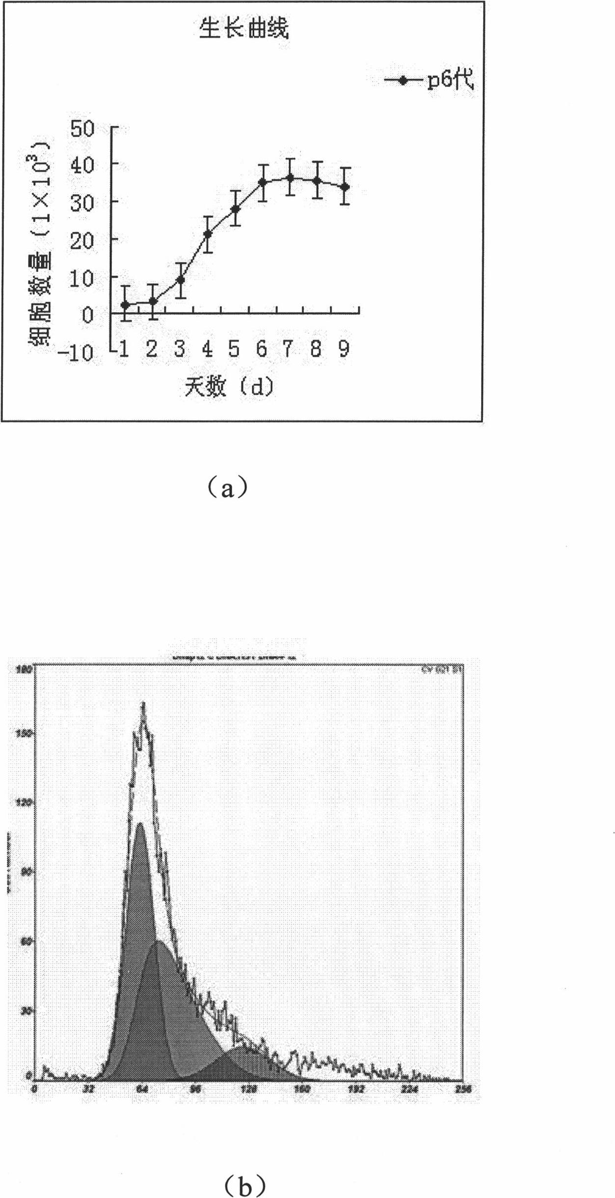 Method for establishing and detecting amniotic fluid stem cell line of pig