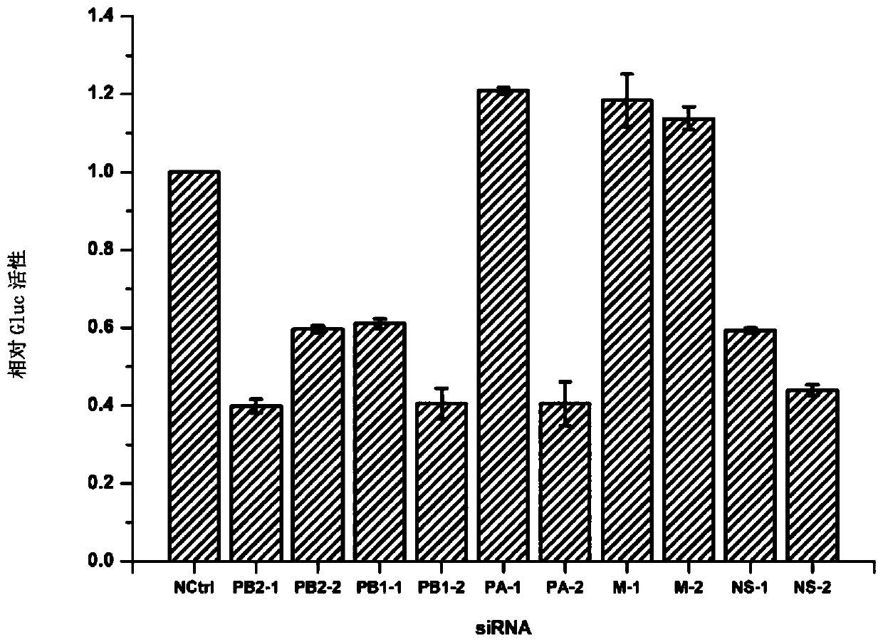 Inhalable siRNA against influenza virus infection and its application