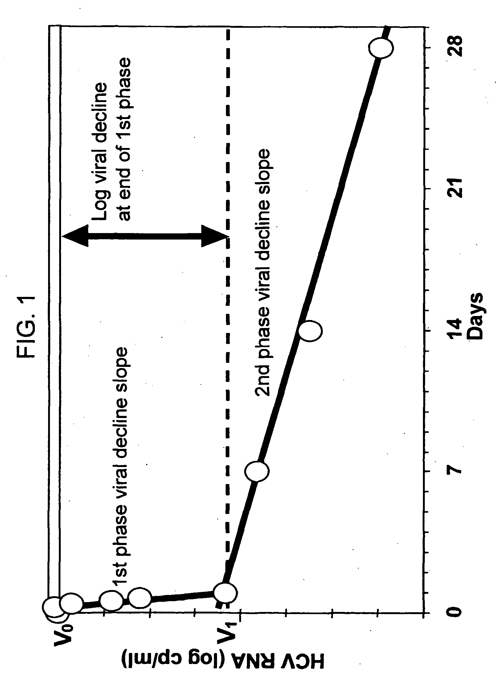 Method of treating hepatitis virus infection with a multiphasic interferon delivery profile