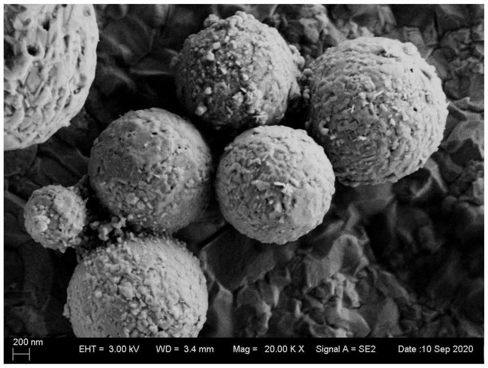 A low-temperature sintered shell-type tin-bismuth alloy powder and its preparation method and application