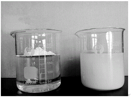 Aqueous-dispersible boron nitride powder for cosmetics and preparation method thereof