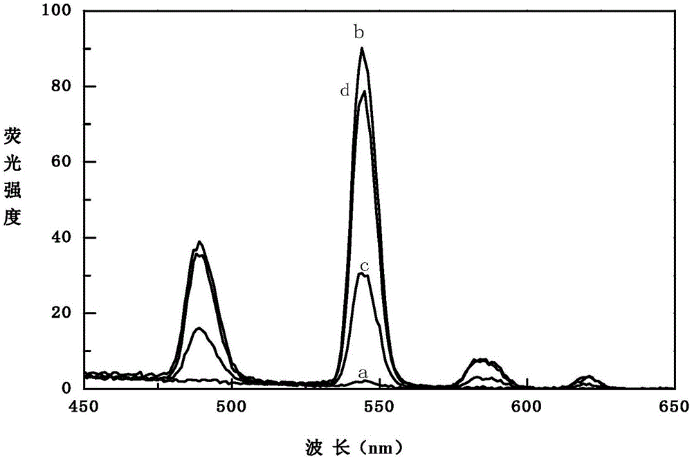 Profenofos fluorescence detection method based on terbium and aptamer