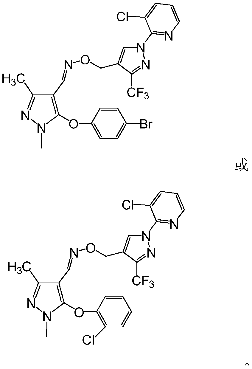 Preparation and application of pyrazole oxime ether derivative containing 1-(3-chloropyridine-2-yl)-3-trifluoromethylpyrazole structure