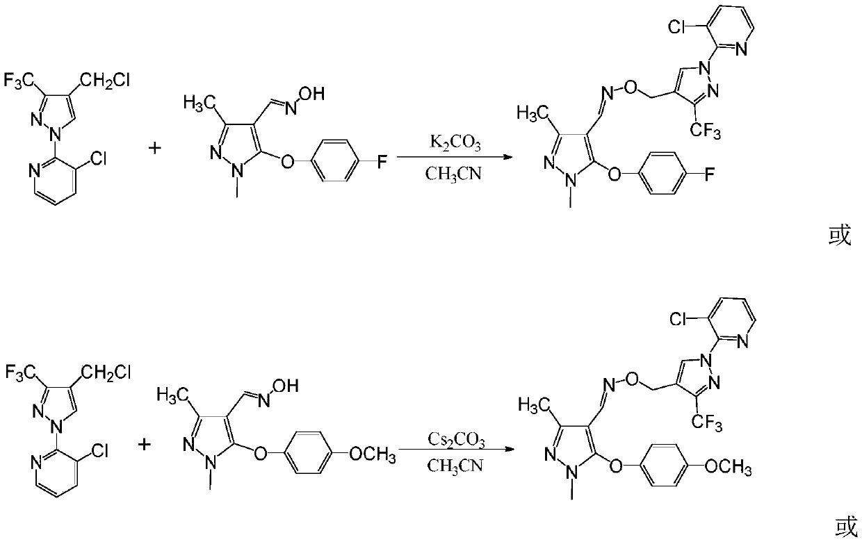 Preparation and application of pyrazole oxime ether derivative containing 1-(3-chloropyridine-2-yl)-3-trifluoromethylpyrazole structure