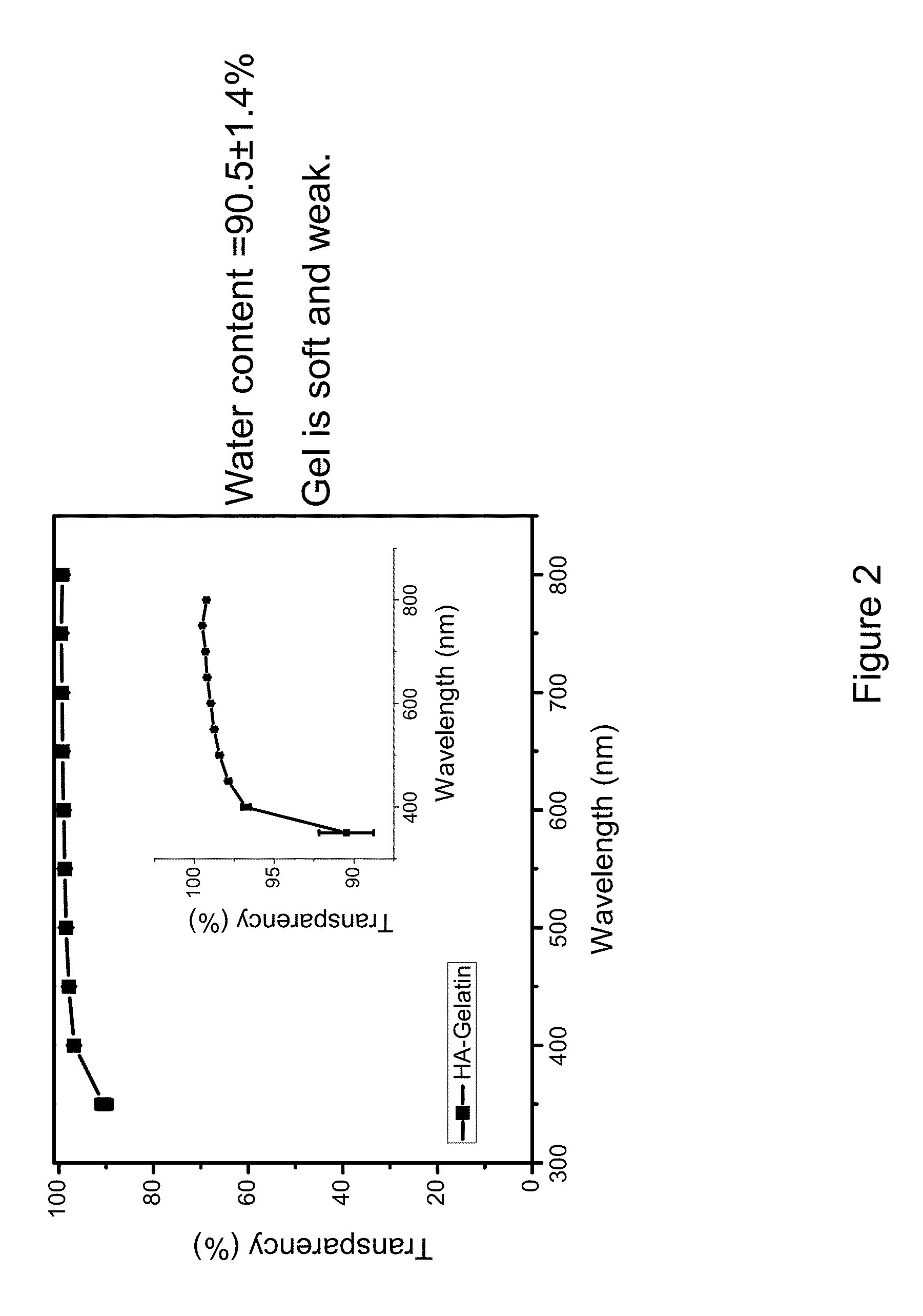 Fabrication of gelatin hydrogel sheet for the transplantation of corneal endothelium