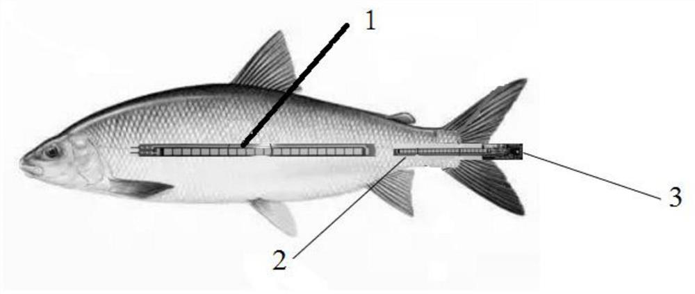 Fish health degree detection method and system based on flexible bending sensor