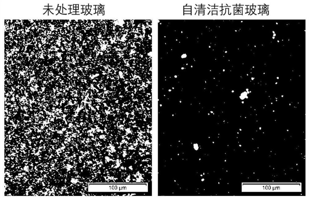 A laser preparation method of self-cleaning antibacterial glass