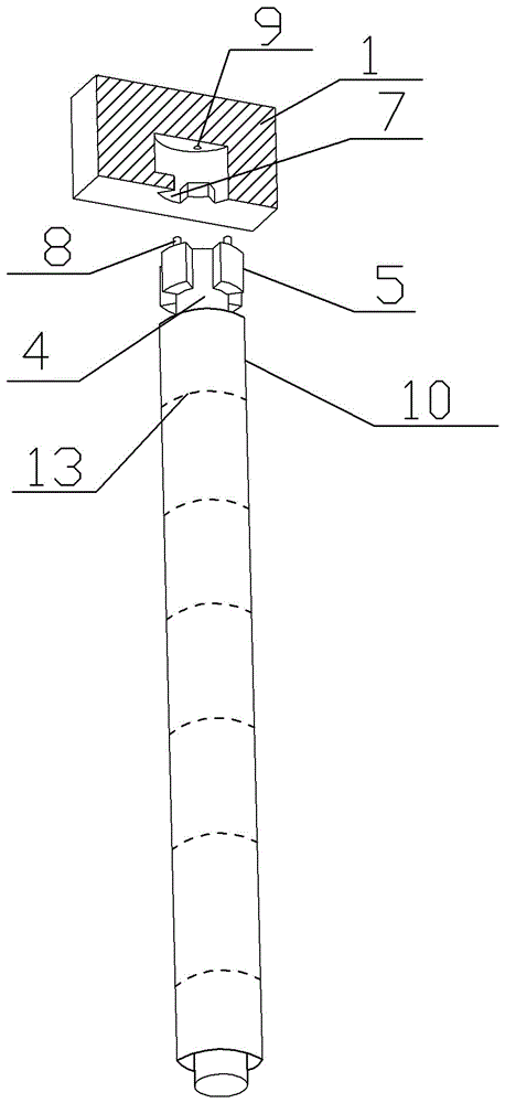 Modified structure of trampoline