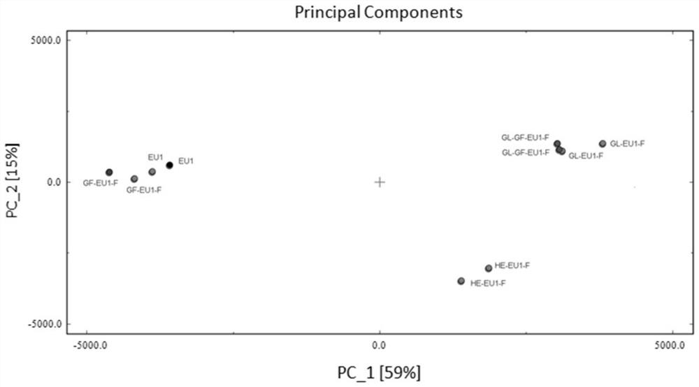 An efficient and rapid method for analyzing the characteristic volatile components of Eucommia ulmoides leaves and its fermentation products