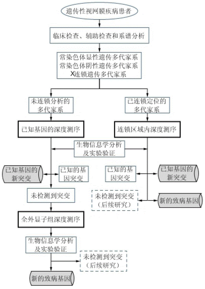 Application of mutated gene PRPF4 in preparation of hereditary retinal disease diagnosis reagent