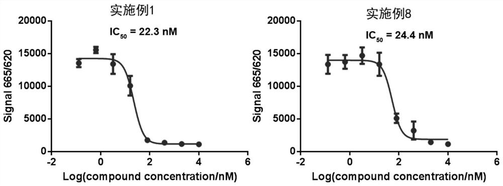 Compound for targeted degradation of focal adhesion kinase and application of compound