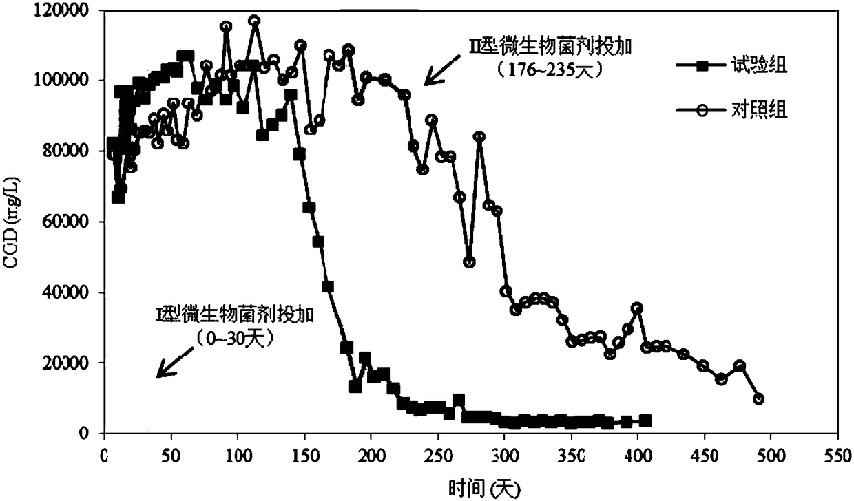 Complex microbial agent and application thereof in aerobic repair of landfill