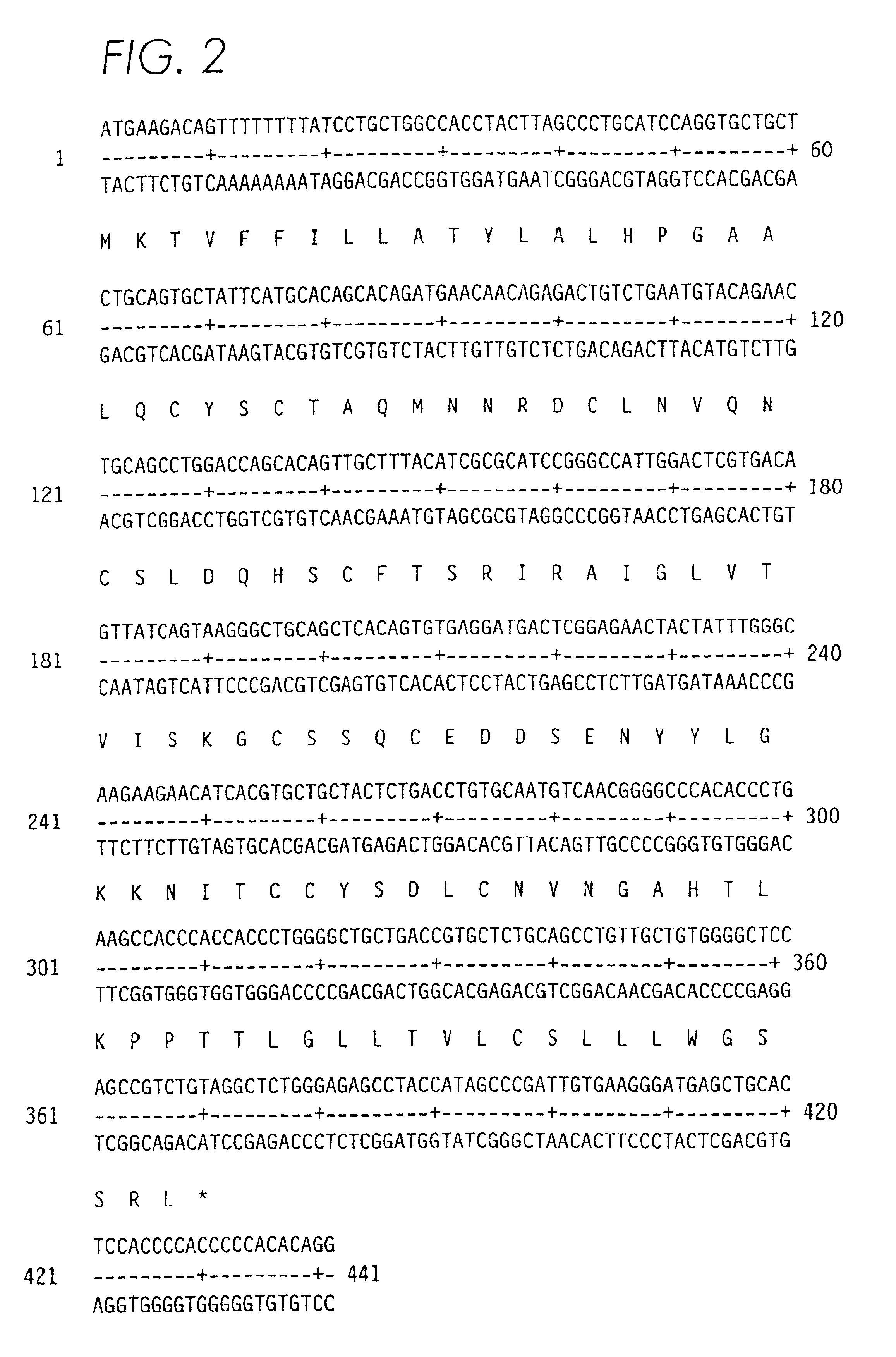 PSCA: prostate stem cell antigen and uses thereof