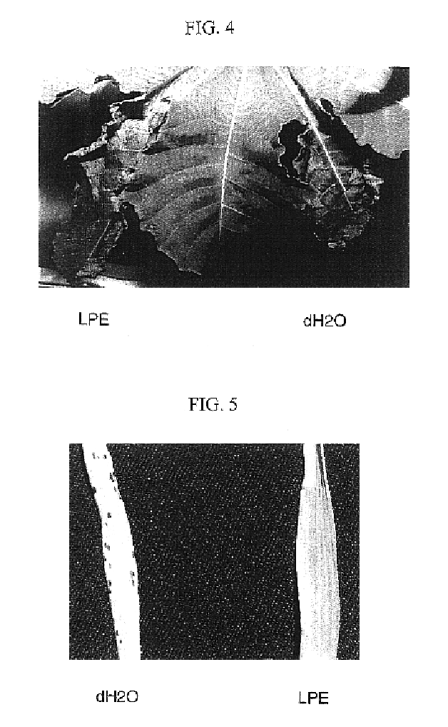 Methods for enhancing plant health, protecting plants from biotic and abiotic stress related injuries and enhancing the recovery of plants injured as a result of such stresses