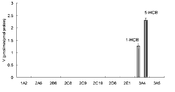 Specific probe substrate for cytochrome P450 3A4 enzyme and application of substrate