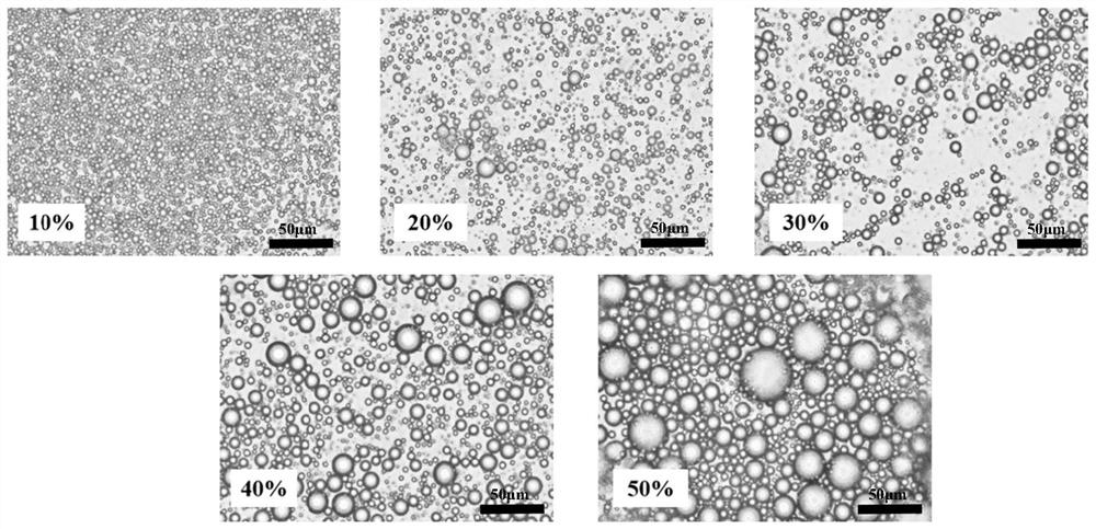 Shaddock peel sponge layer nanofiber emulsion stabilizer as well as preparation method and application thereof