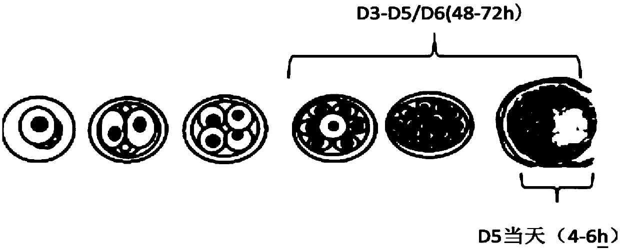 Method for detecting embryo health by using blastocyst culture solution, and product
